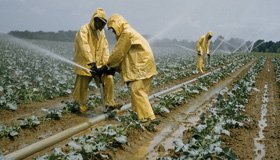 agriculture
